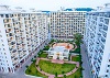 IVY Estate